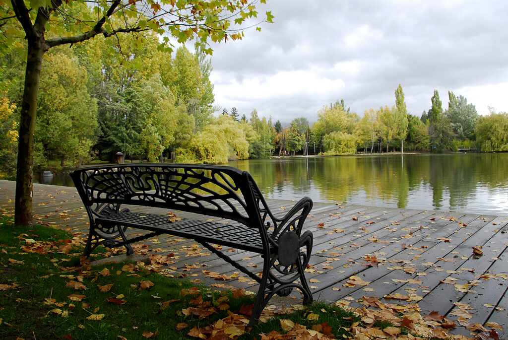 El llac de Puigcerdà un dia de pluja d'estiu