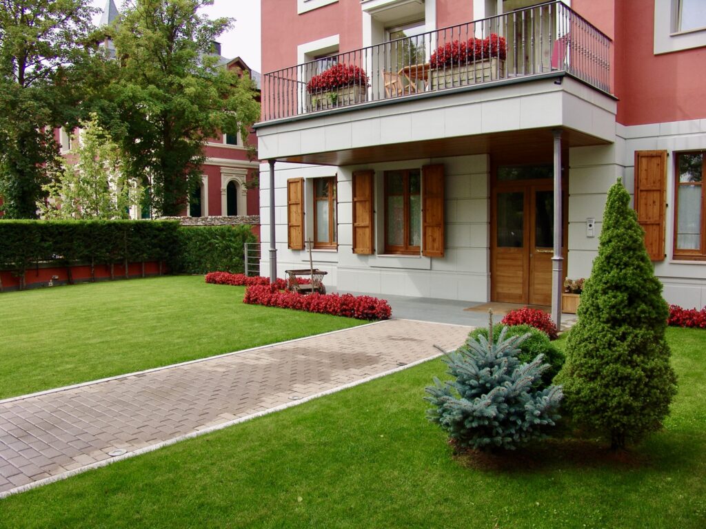 Compra i remonta de les plantes superiors Fase 4 Imatge 10