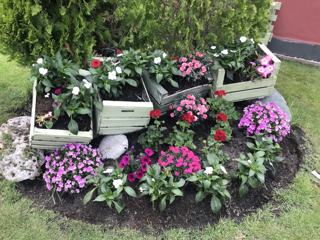 Flors jardí 2