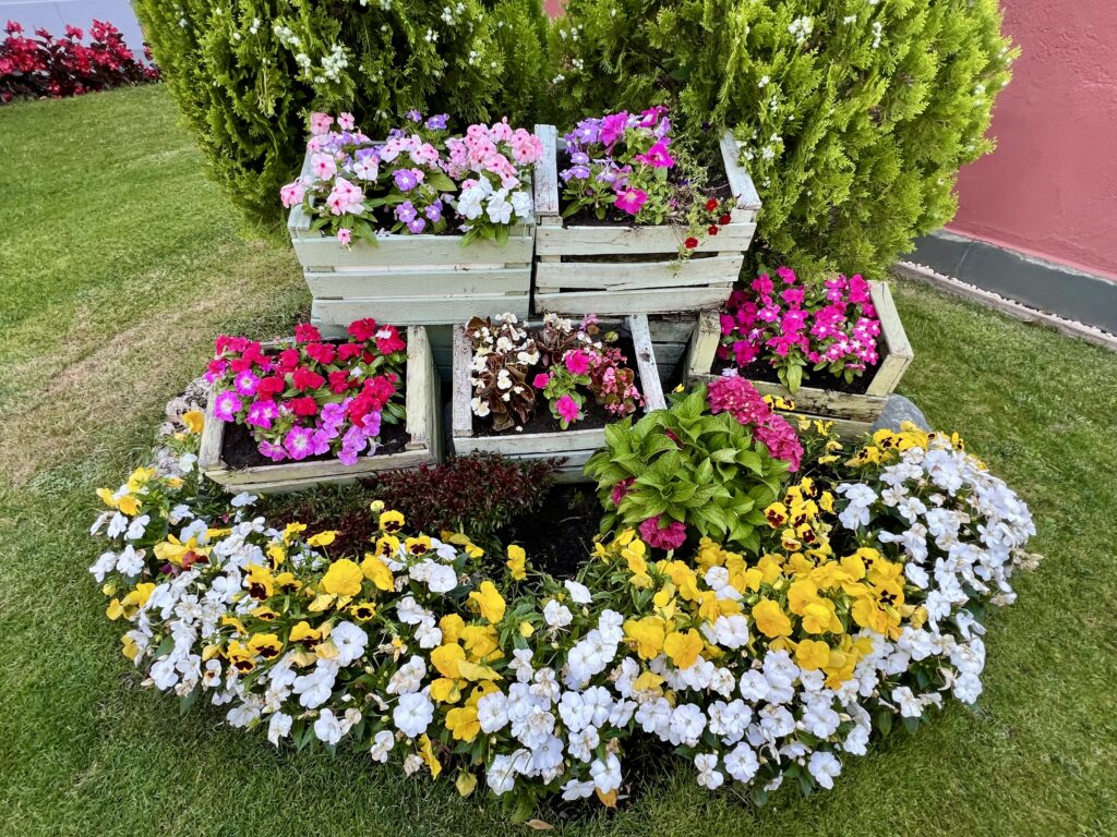 Flors jardí 3