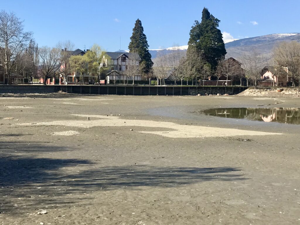 Neteja del Llac 2020 Imatge 1