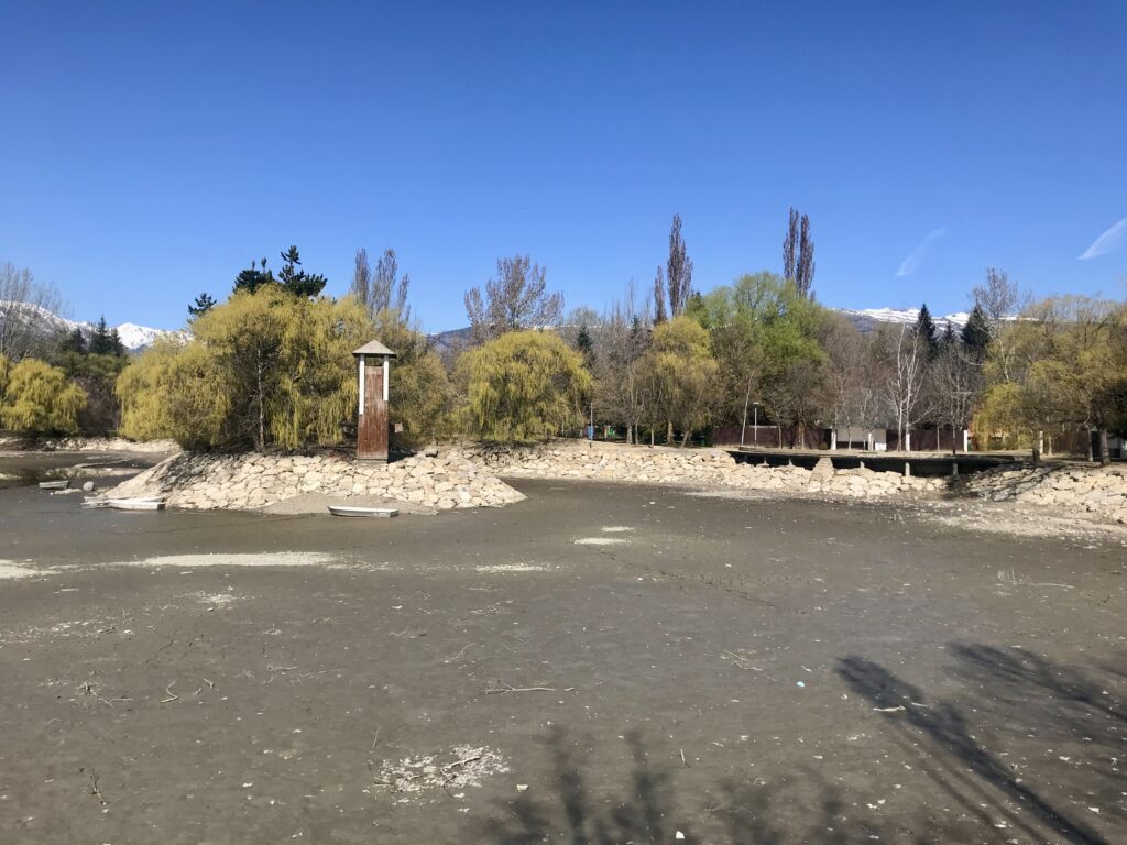 Neteja del Llac 2020 Imatge 2
