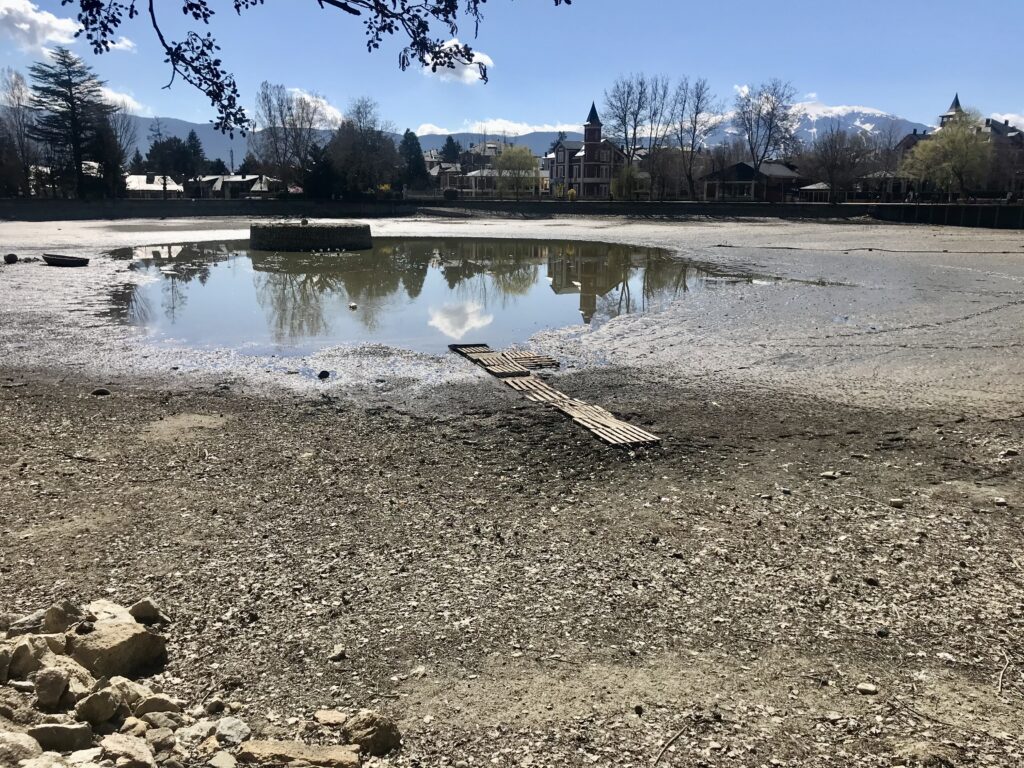 Neteja del Llac 2020 Imatge 3