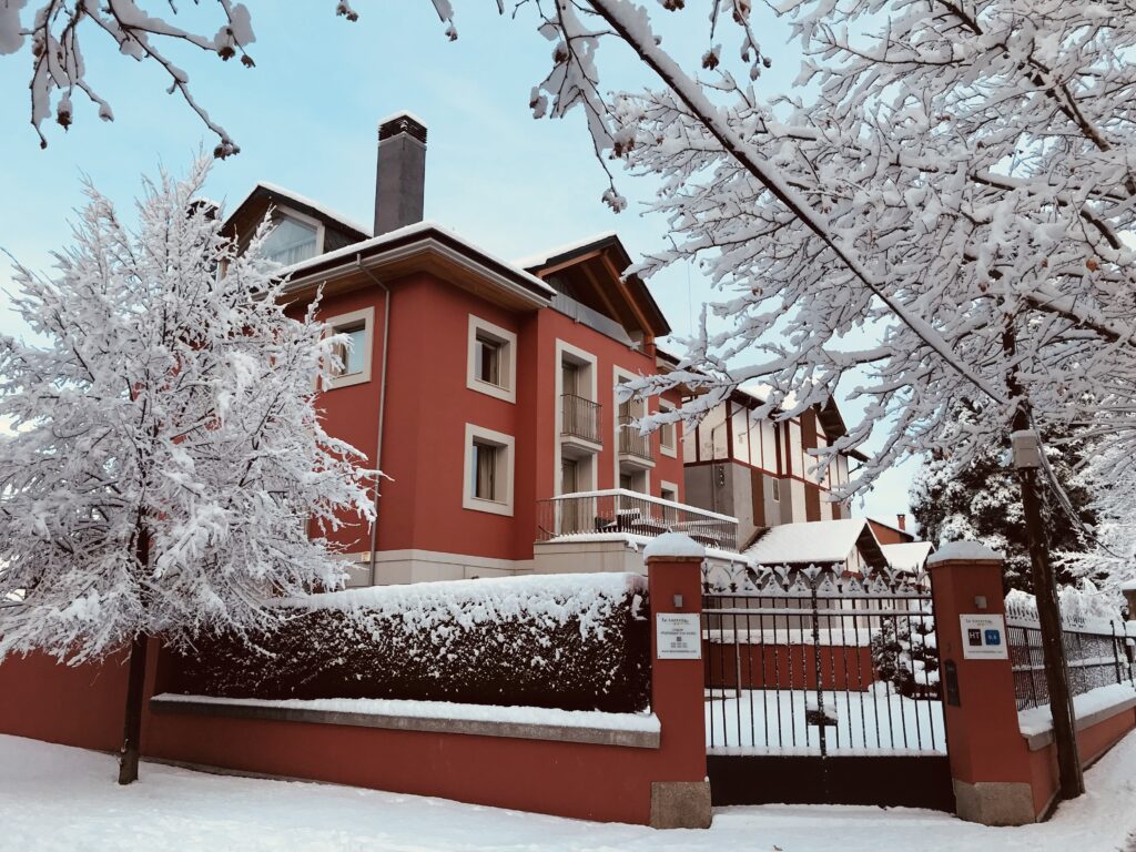 Nevada Febrer 2018 imatge 1