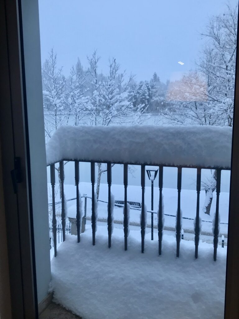 Nevada Febrer 2018 imatge 10